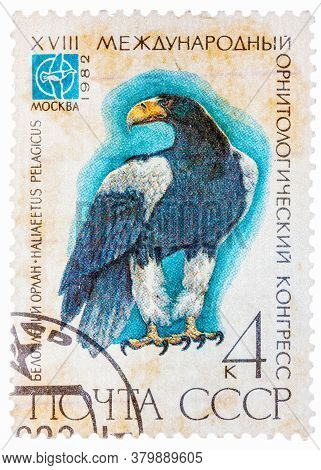 Ussr - Circa 1982: A Stamp Printed In Ussr Russia Shows A Bird Haliaeetus Pelagitus With The Inscrip