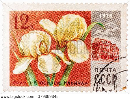 Russia - Circa 1978: Stamp Printed In Ussr Cccp, Soviet Union Shows Image Of Ilich Anniversary Iris 