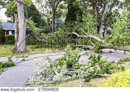 Trees Snapped In Half Knocking Down Electric And Cable Wires From Tropical Storm Isaias In Babylon V