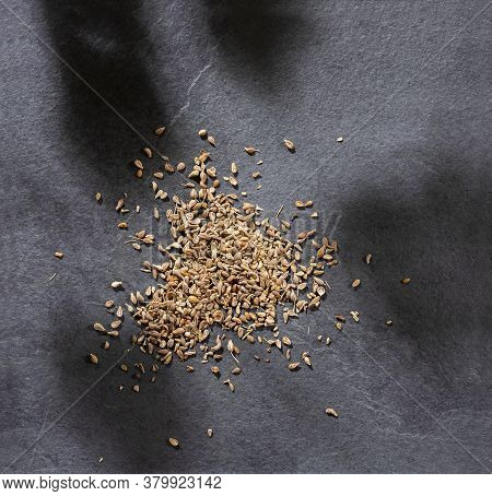 Dried Anise Seeds - Pimpinella Anisum. Top View