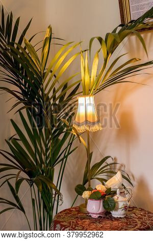 Stylish Compositon Of Retro Home Interior With Vintage Design Lamp, Plants, Elegant Accessories. Min