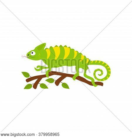 Cute Chameleon Sitting On A Tree Branch, Reptiles Illustration. Vector Character In Cartoon Style.