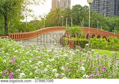 Fresh Pink And White West Indian Perwinkle Petals Infront Of Orange Concrete Arch Curve Brige And La