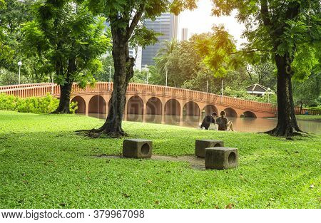 Fresh Green Carpet Grass Yard, Smooth Lawn Under Green Trees In Beautiful Garden And Good Care Lands