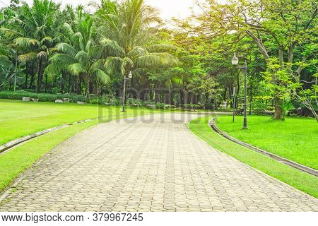Gray Concrete Block Pavement Walkway Beside Beautiful Fresh Green Carpet Grass Yard, Smooth Lawn And