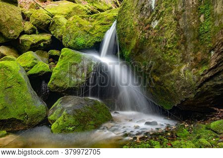 Nature Rainforest River Cascade. Stream In Forest Nature. Green Forest Stream. Nature. Stream. Natur