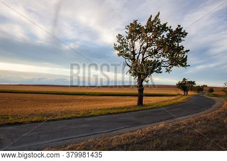 On The Road Between Empty Field After Harvesting In Summer Evening. Czech Republic. Amazing Sunset I