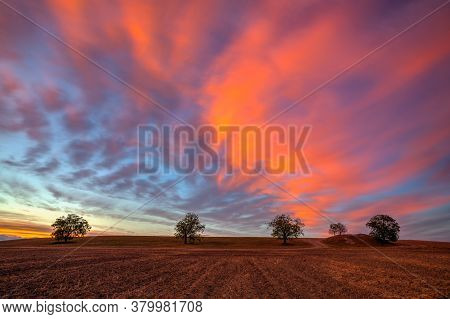 Amazing Sunset On The Empty Field After Harvesting. Czech Republic. Amazing Sunset In Czech Bohemian