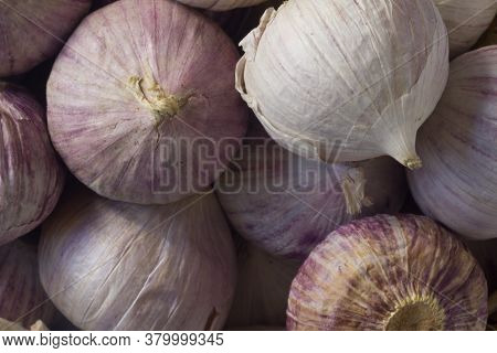 A Macro Photo Of Fresh Solo Garlic Bulbs Which Are Used For Cooking. They Are Grown In Asia