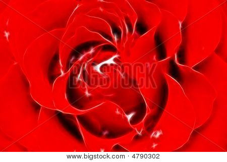 Abstrakti Rose