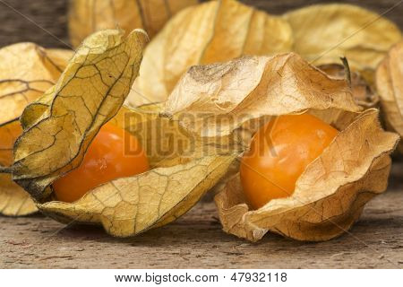 Makro kuva tuore Physallis marjoja