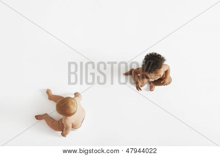 Vue de la forte inclinaison des deux bébés multiethniques regardant dans des directions différentes isolé sur blanc matiè