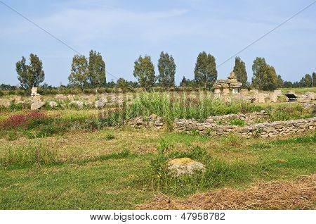 Parco archeologico di Metaponto. Basilicata. Italia meridionale.
