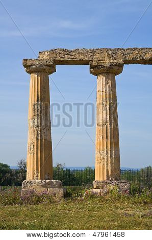 Tavole Palatine af Metaponto. Basilicata. Det sydlige Italien.