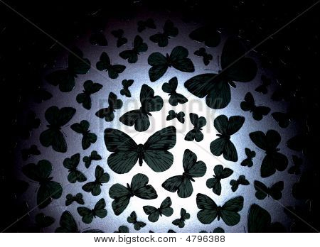 World Of Butterflies