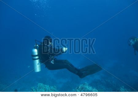 Scuba eğitimi