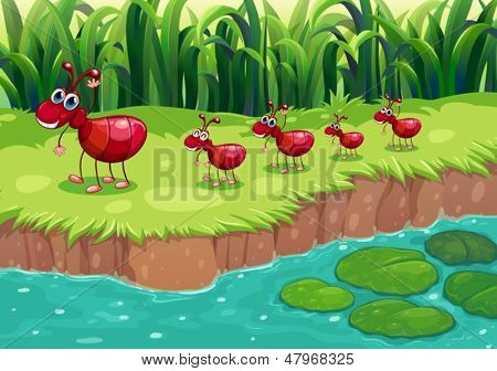 Illustrazione di una colonia di formiche rosse presso la riva del fiume