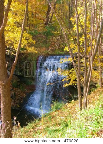 Tombe en automne