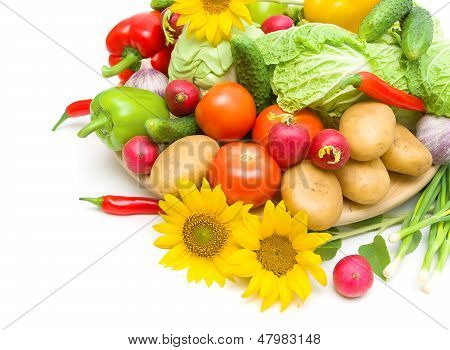 Verdure e girasole primo piano su uno sfondo bianco