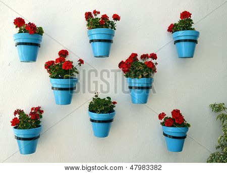 Flores en maceta de pared