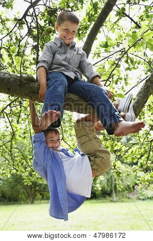 Full length of boys playing on tree branch in park