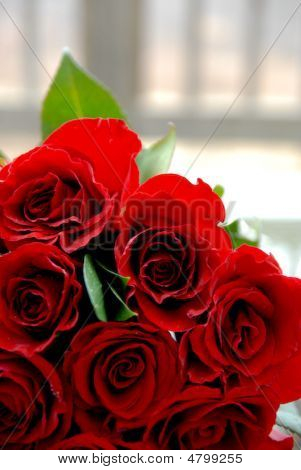 Rose rosse