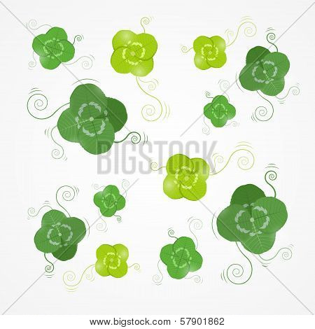 Green Clover Leaves Vector Background
