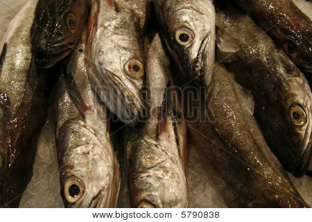 Tas de poisson frais au marché