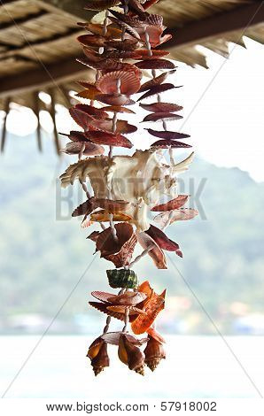 Seashell decoration