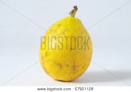 Ripe Fruit