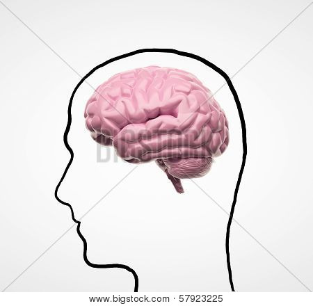 Drawng Head