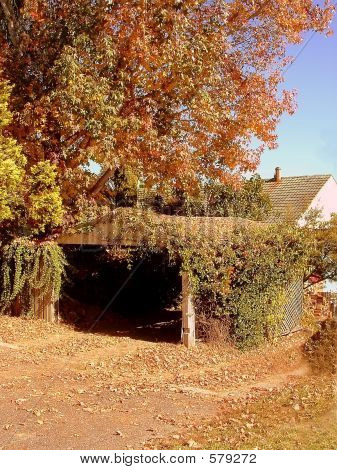 Capannone di autunno