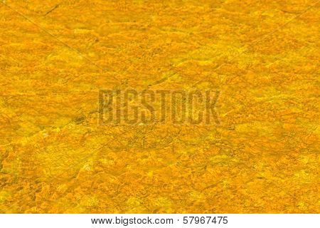 Microbial Mats In Geothermal Pools, Yellowstone National Park ,wyoming