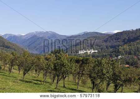 Horezu monastery