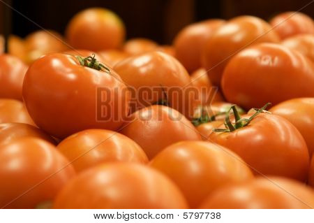 Grupo de tomates