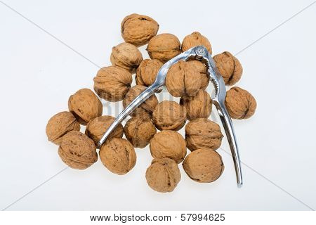 ripe walnuts heap isolated on white background