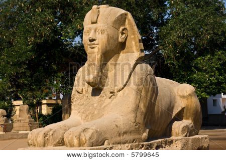 Sphinx