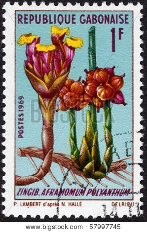 Gabonese Stamp 1969