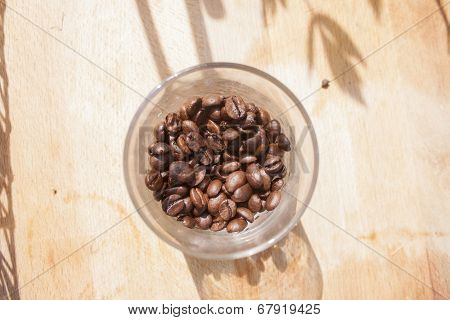 Coffee Beans