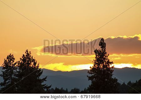 Golden Sunset