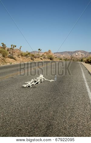 A lost hiker dies of thirst on a deserted desert road inches away from a bottle of water.  Dark Humor Series. 