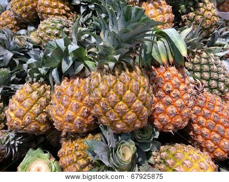 Pineapple Tropical Fruit