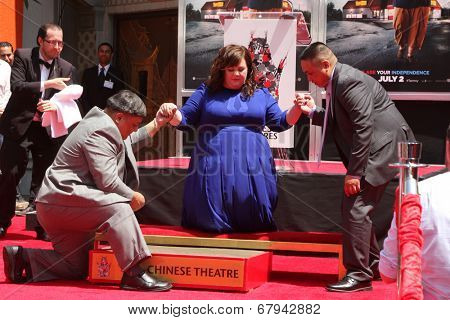 LOS ANGELES - JUL 2:  Melissa McCarthy at the Melissa McCarthy Hand and Footprint Ceremony at the TCL Chinese Theater on July 2, 2014 in Los Angeles, CA