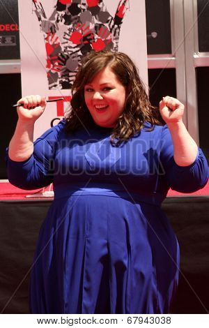 LOS ANGELES - JUL 2:  Melissa McCarthy at the Melissa McCarthy Hand and Footprint Ceremony at the TCL Chinese Theater on July 2, 2014 in Los Angeles, CA