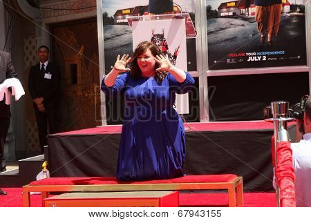 LOS ANGELES - JUL 2:  Melissa McCarthy at the Melissa McCarthy Hand and Footprint Ceremony at the TCL Chinese Theater on July 2, 2014 in Los Angeles, CA