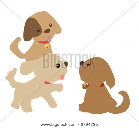 drie leuke honden
