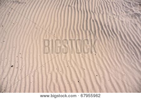 Sand texture. Dunes on Baltic beach in Ustka, Poland. Natural textured background.