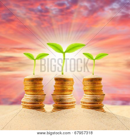 Money growing from the desert. Investments in middle east countries concept. 
