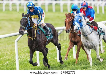 Three Jockeys Out Of The Fourth Curve At The Nationaldags Galoppen In Gardet