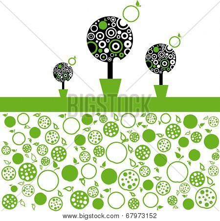 Apple Tree